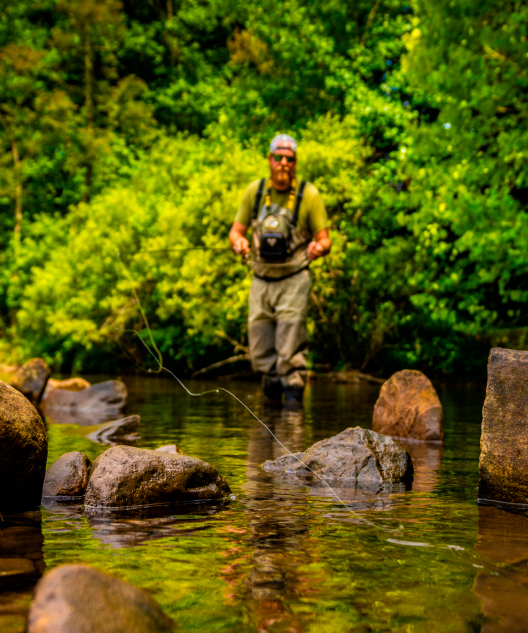Angler on Clear Creek