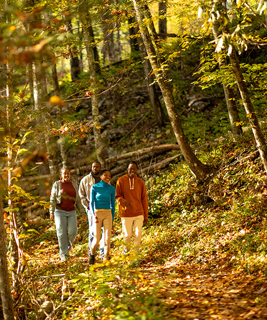 hike-2 Hiking