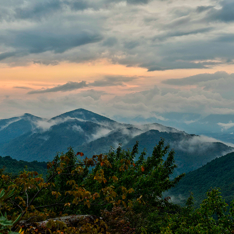 Norton's landscape