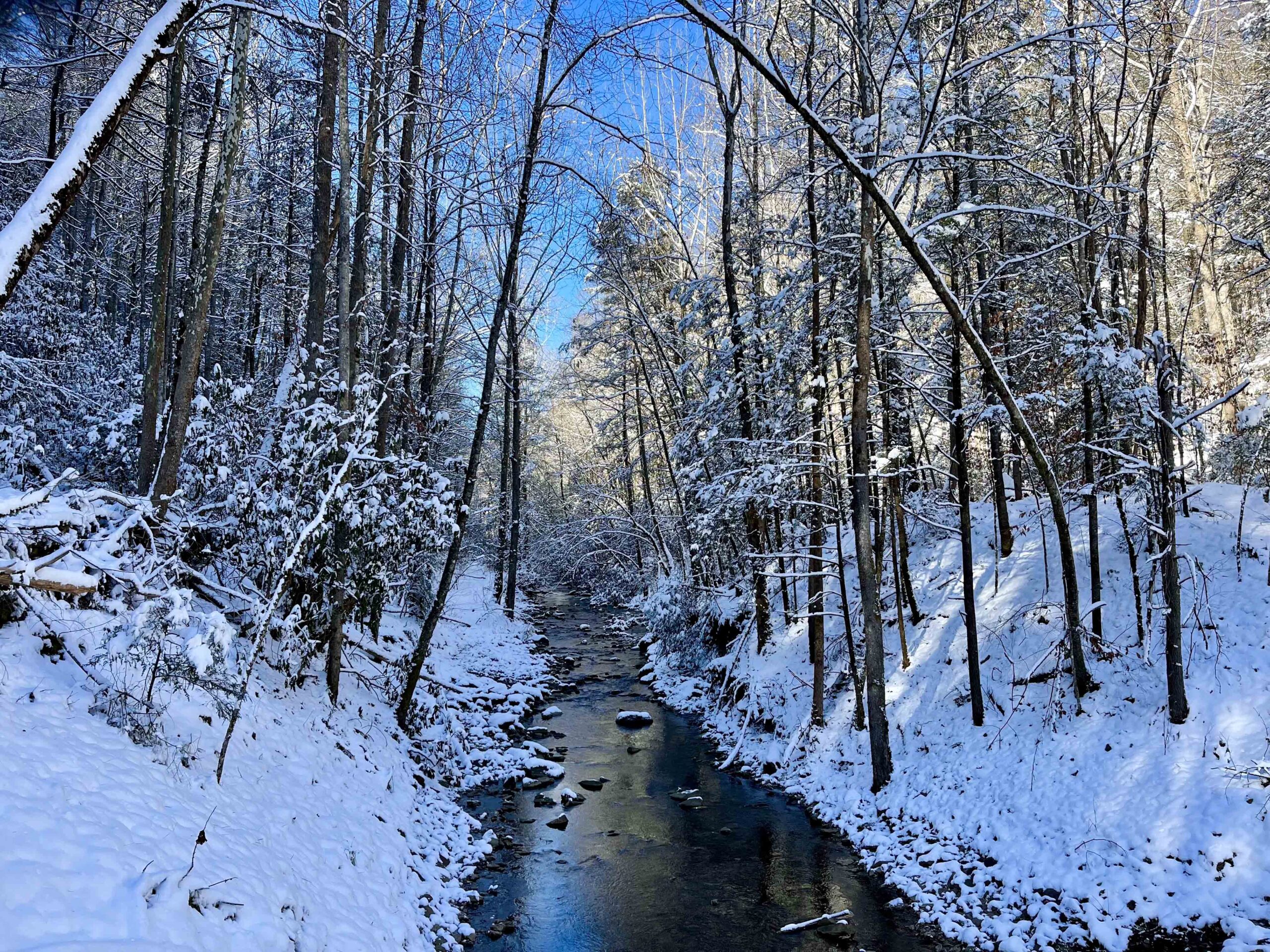 Group Hike: Cranesnest Trail - Norton, Virginia