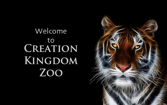 Creation Kingdom Zoo