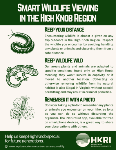 Photo of flyer about wildlife viewing in the High Knob Region